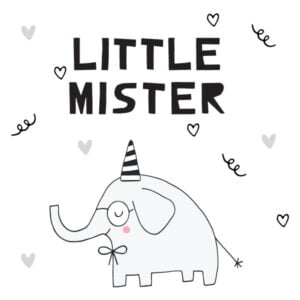Little mister label