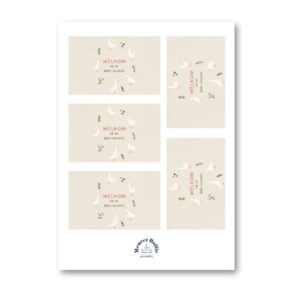 Babyshower gans bellenblaas