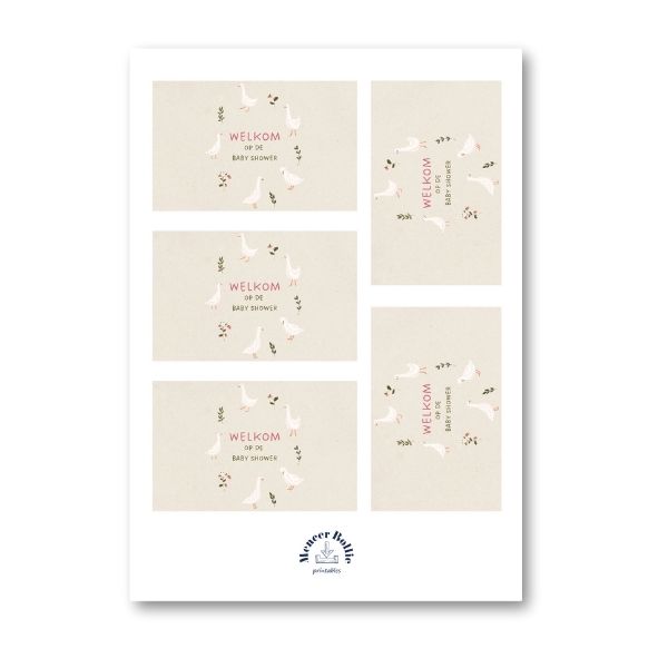 Babyshower gans bellenblaas